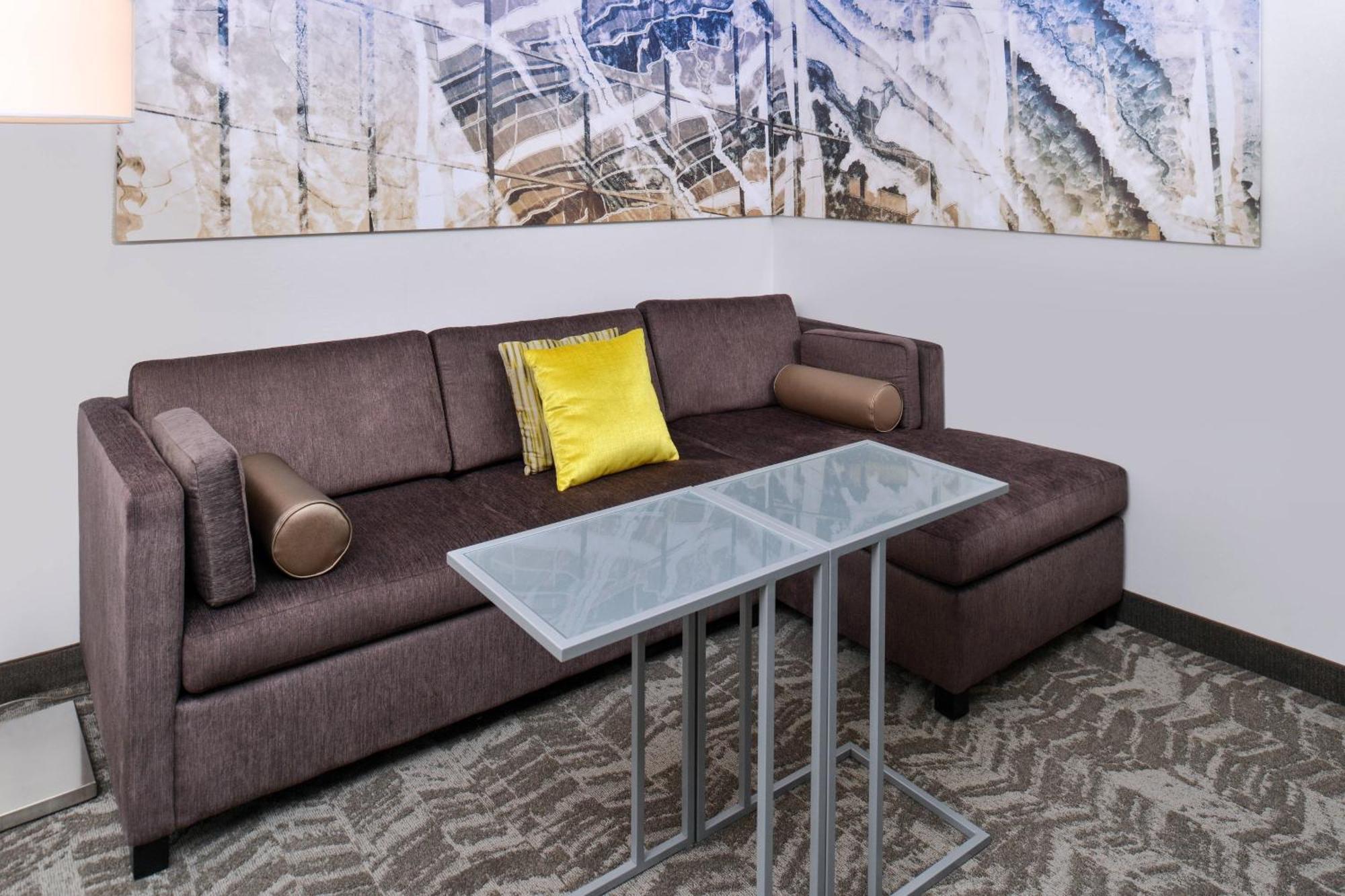 Springhill Suites By Marriott Detroit Metro Airport Romulus Buitenkant foto