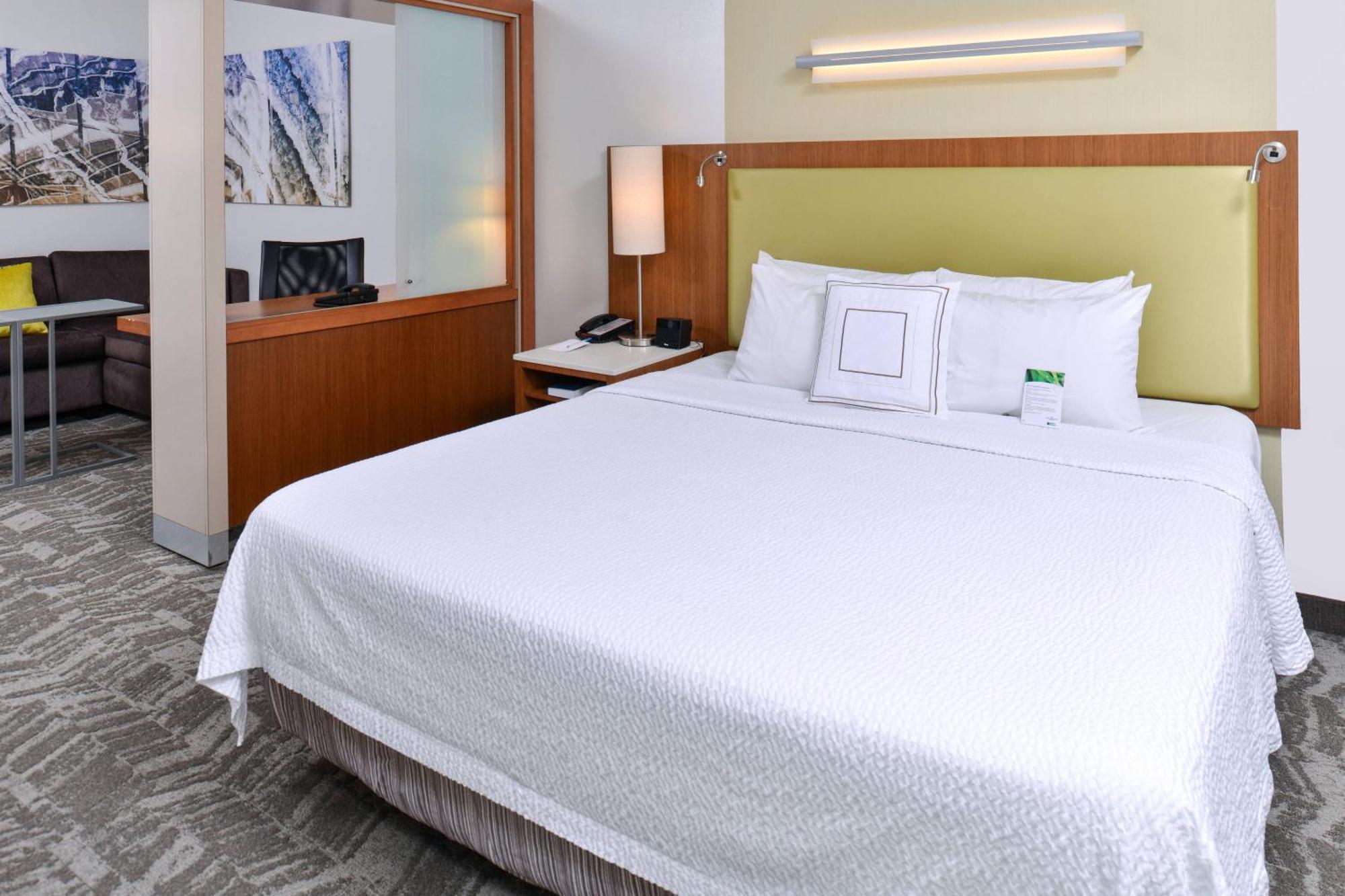 Springhill Suites By Marriott Detroit Metro Airport Romulus Buitenkant foto
